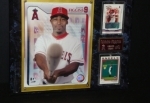 Chone Figgins Autographed Card and Display (Anaheim Angels)